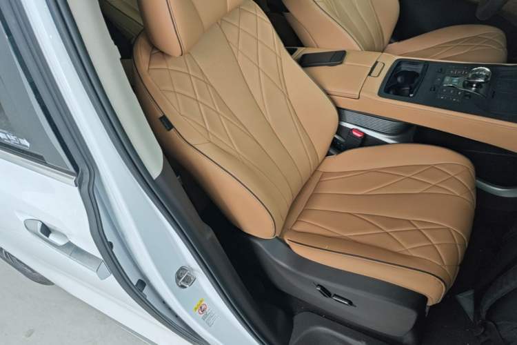 Used Denza D9 2024 DM-i 970 Luxury Model Right Front Seat
