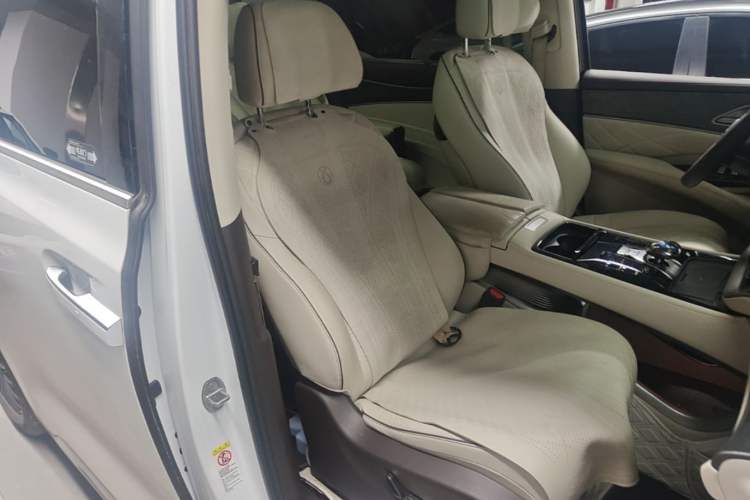 Used Denza D9 2024 DM-i 1050 Luxury Model Right Front Seat