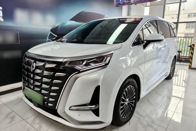 Denza D9 2024 DM-i 980 Four-Wheel Drive Prestige Model - Executive