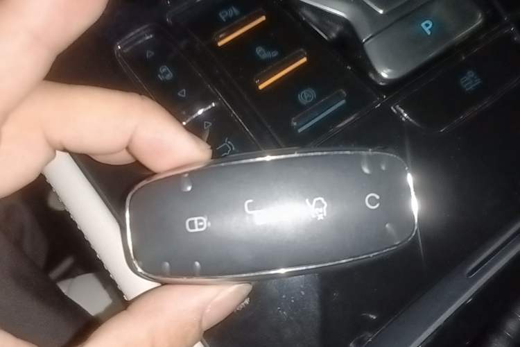 Used Denza D9 2024 DM-i 980 Four-Wheel Drive Prestige Model Vehicle Key