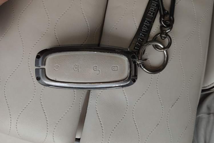 Used Denza D9 2024 DM-i 1050 Luxury Model Vehicle Key