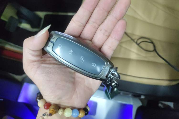 Used Denza D9 2024 DM-i 970 Luxury Model Vehicle Key