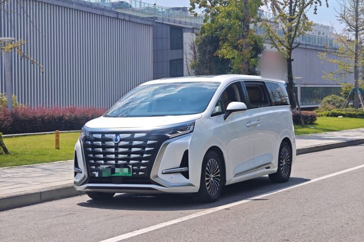 Denza D9 2024 DM-i 1050 Luxury Model