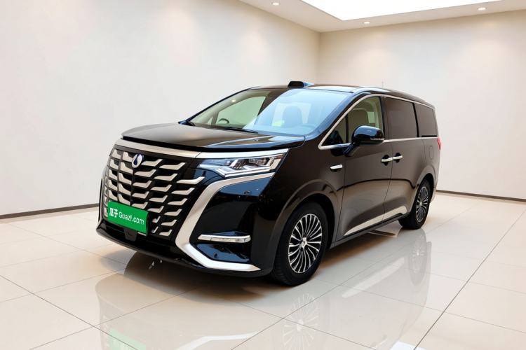 Denza D9 2025 DM-i Smart Drive 1020 Four-Wheel Drive Deluxe Model