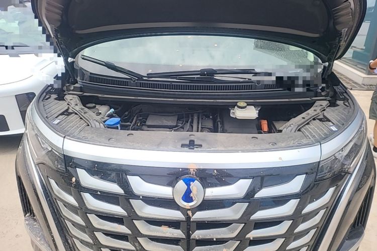 Used Denza D9 2025 Model DM-i Four-Wheel Drive Supreme Edition Engine Bay
