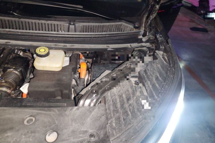 Used Denza D9 2025 DM-i Smart Drive 1020 Four-Wheel Drive Premium Model Engine Bay Left