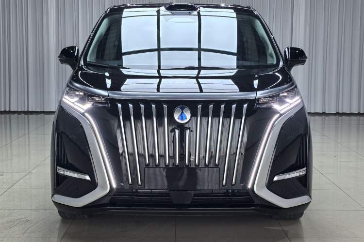 Used Denza D9 2025 EV Intelligent Driving Edition 600 Four-Wheel Drive Flagship Model Exterior 1