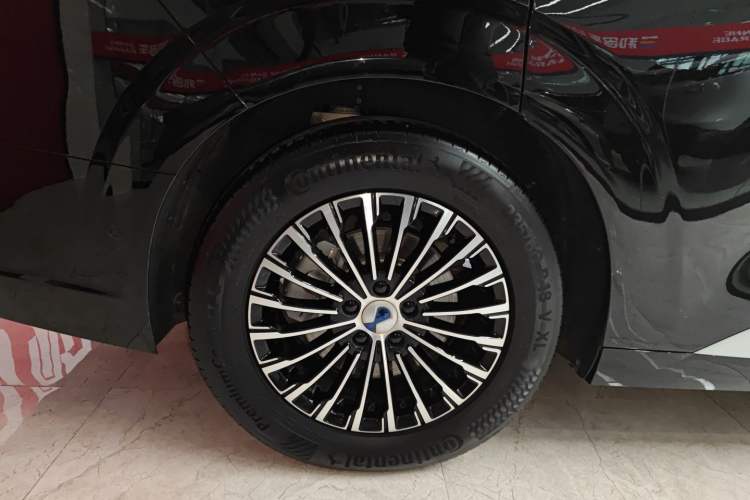 Used Denza D9 2025 DM-i Intelligent Drive 1020 Four-Wheel Drive Flagship Model Exterior 5