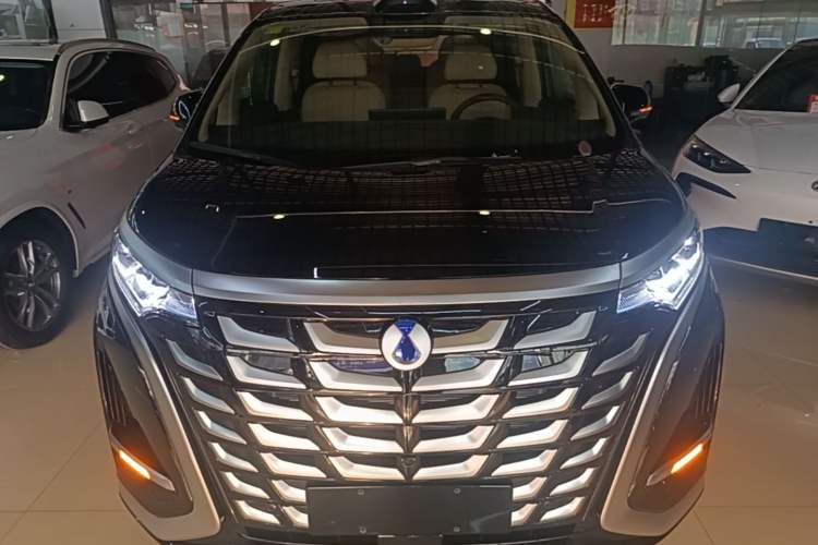 Used Denza D9 2025 DM-i Smart Drive 1020 Four-Wheel Drive Deluxe Model Front