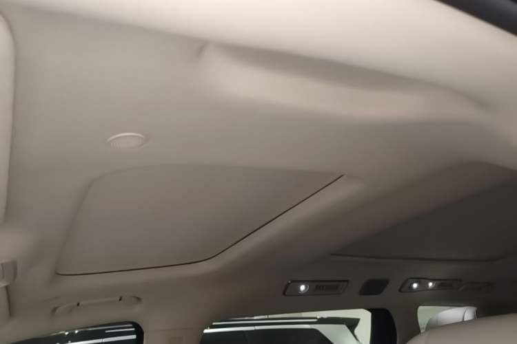 Used Denza D9 2025 DM-i Intelligent Drive 1020 Four-Wheel Drive Flagship Model Headliner