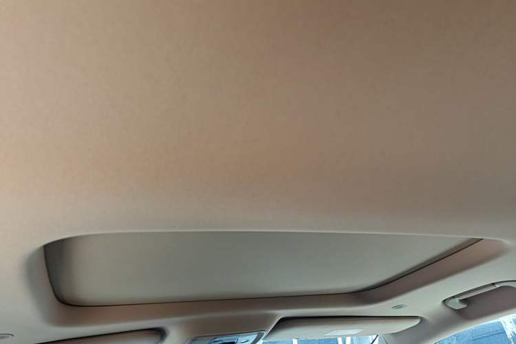 Used Denza D9 2025 Model DM-i Four-Wheel Drive Prestige Edition Headliner