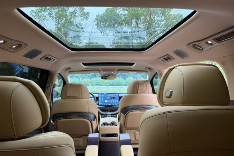 Used Denza D9 2025 DM-i Smart Drive 1020 Four-Wheel Drive Deluxe Model Headliner