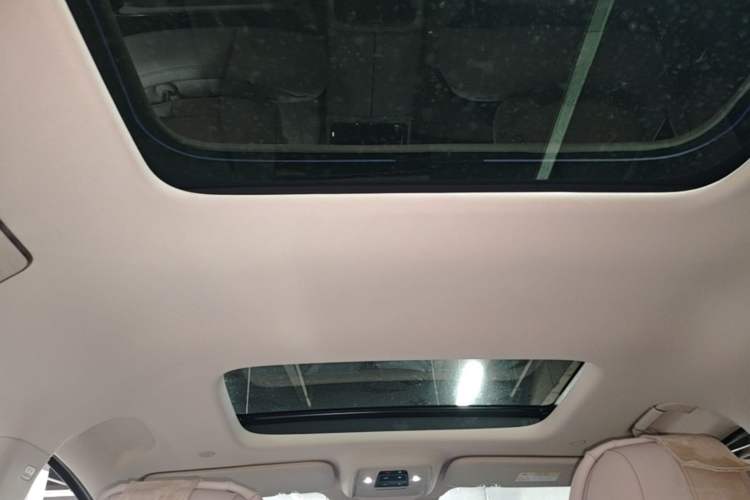 Used Denza D9 2025 DM-i Smart Drive 1020 Four-Wheel Drive Premium Model Headliner