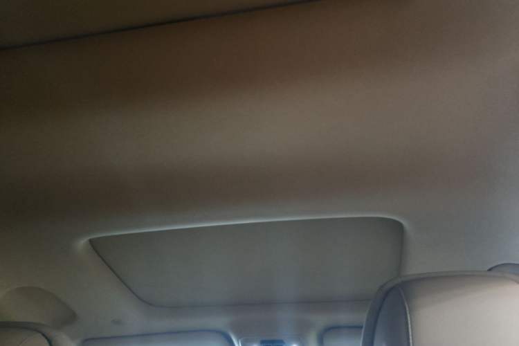 Used Denza D9 2025 DM-i Intelligent Drive 1020 Four-Wheel Drive Prestige Model Headliner