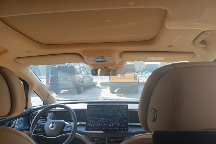 Used Denza D9 2025 DM-i Intelligent Drive 1020 Four-Wheel Drive Flagship Model Headliner