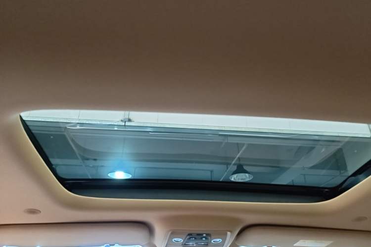 Used Denza D9 2025 DM-i Intelligent Drive 1020 Four-Wheel Drive Prestige Model Headliner