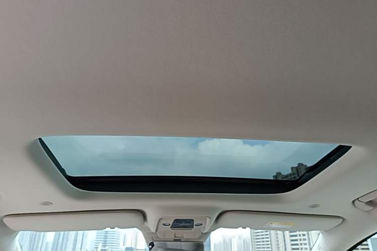 Used Denza D9 2025 DM-i Intelligent Drive 1020 Four-Wheel Drive Flagship Model Headliner