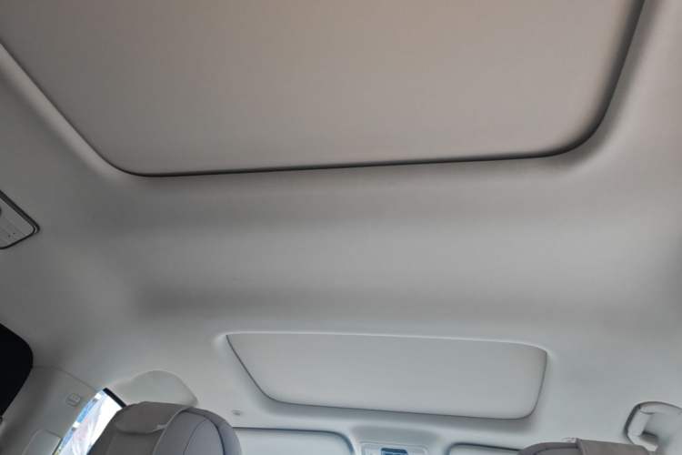 Used Denza D9 2025 DM-i Intelligent Drive 1020 Four-Wheel Drive Prestige Model Headliner