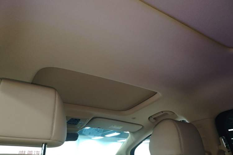Used Denza D9 2025 DM-i Smart Drive 1100 Luxury Model Headliner