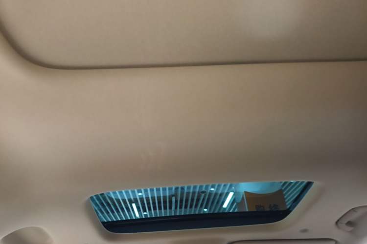 Used Denza D9 2025 DM-i Intelligent Drive 1020 Four-Wheel Drive Flagship Model Headliner