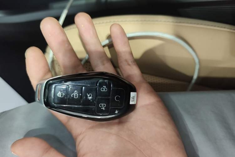 Used Denza D9 2025 DM-i Smart Drive 1020 Four-Wheel Drive Premium Model Interior 1
