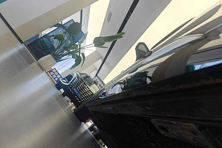 Used Denza D9 2025 DM-i Intelligent Drive 1020 Four-Wheel Drive Flagship Model Left Side Sill