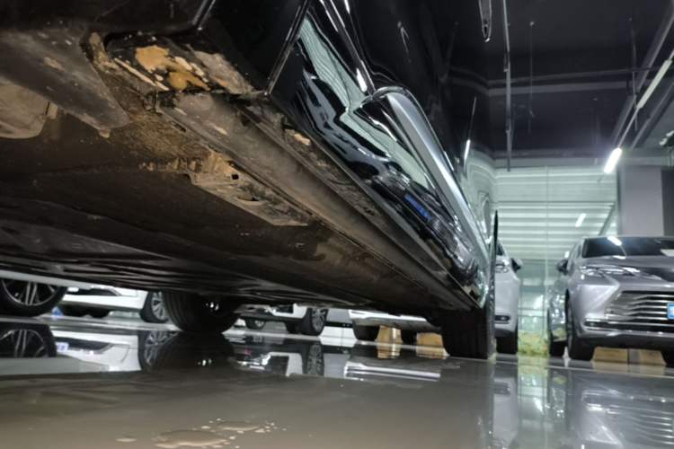 Used Denza D9 2025 Model DM-i Two-Wheel Drive Prestige Edition Left Side Sill