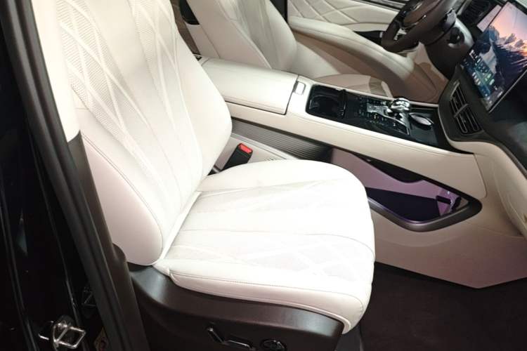 Used Denza D9 2025 DM-i Smart Drive 1020 Four-Wheel Drive Premium Model Right Front Seat