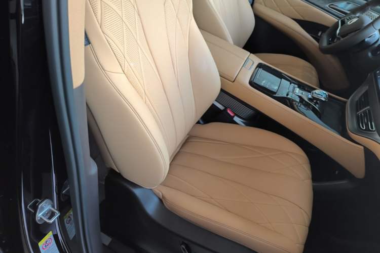 Used Denza D9 2025 DM-i Smart Drive 1020 Four-Wheel Drive Deluxe Model Right Front Seat