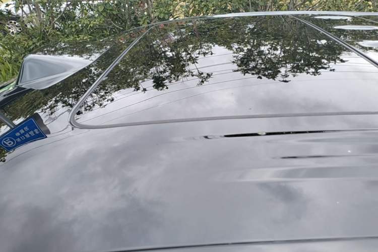 Used Denza D9 2025 DM-i Intelligent Drive 1020 Four-Wheel Drive Prestige Model Roof
