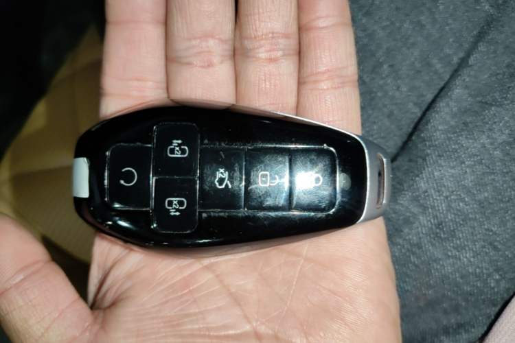 Used Denza D9 2025 DM-i Intelligent Drive 1020 Four-Wheel Drive Prestige Model Vehicle Key