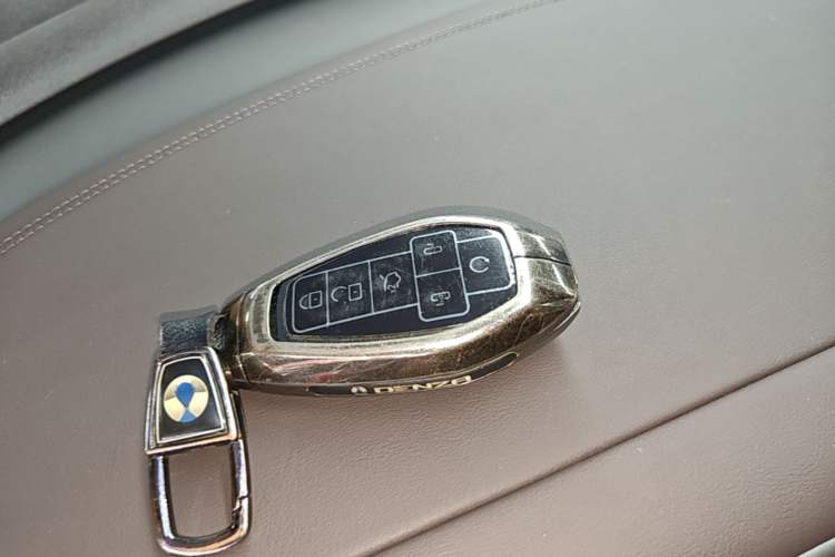Used Denza D9 2025 DM-i Intelligent Drive 1020 Four-Wheel Drive Flagship Model Vehicle Key