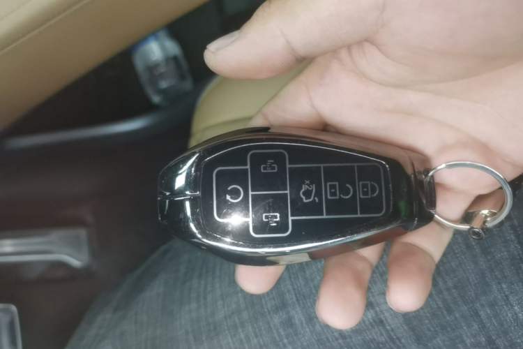 Used Denza D9 2025 Model EV Two-Wheel Drive Prestige Edition Vehicle Key