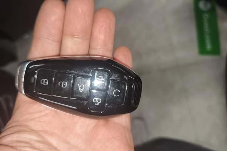 Used Denza D9 2025 DM-i Intelligent Drive 1020 Four-Wheel Drive Flagship Model Vehicle Key