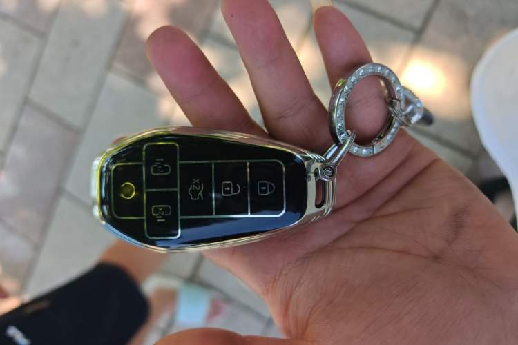 Used Denza D9 2025 DM-i Intelligent Drive 1020 Four-Wheel Drive Flagship Model Vehicle Key
