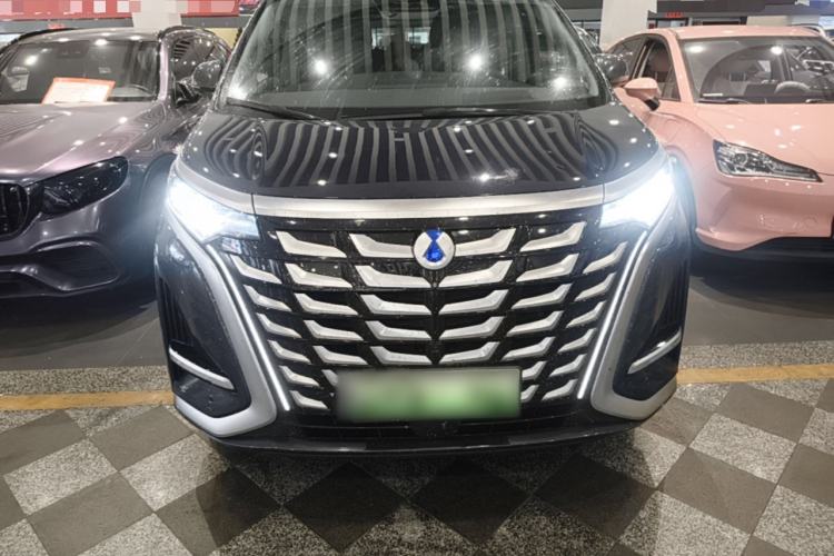 Used Denza D9 2025 DM-i Intelligent Drive 1020 Four-Wheel Drive Prestige Model Front