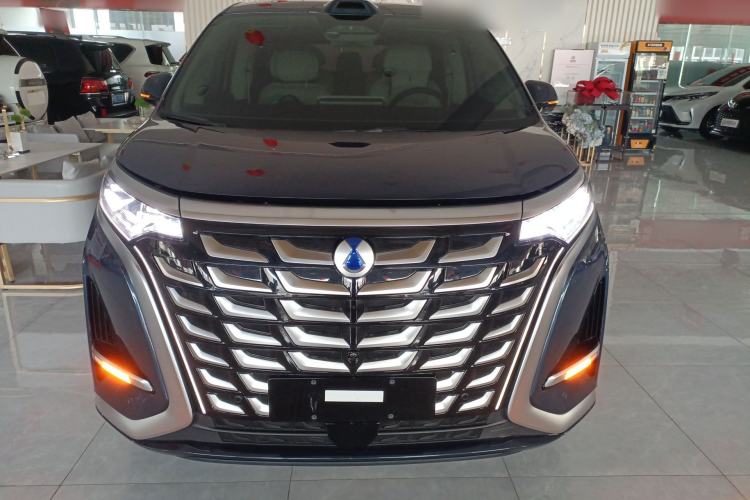 Used Denza D9 2025 DM-i Intelligent Drive 1020 Four-Wheel Drive Prestige Model Front