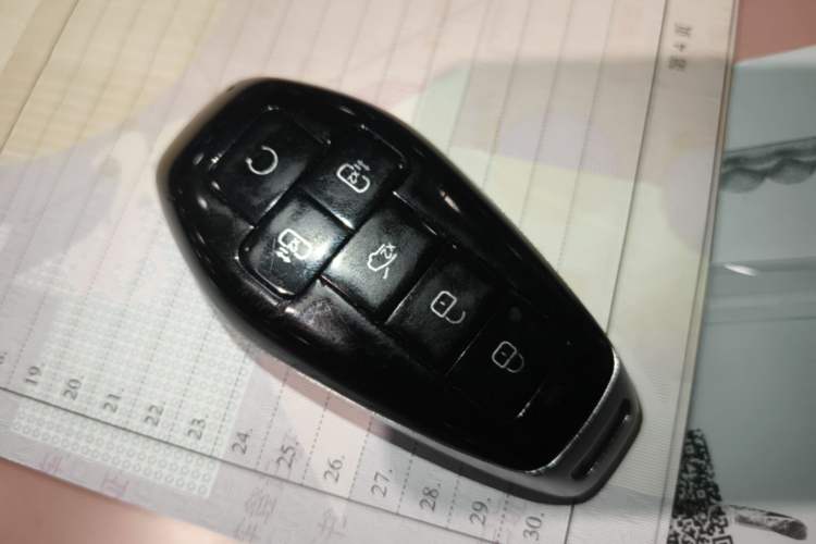 Used Denza D9 2025 DM-i Intelligent Drive 1020 Four-Wheel Drive Prestige Model Vehicle Key
