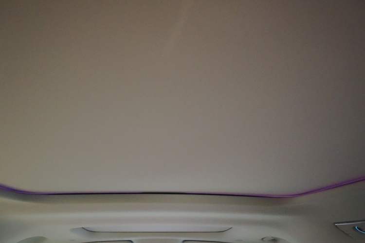 Used Denza D9 2025 DM-i Intelligent Drive 1020 Four-Wheel Drive Prestige Model Headliner