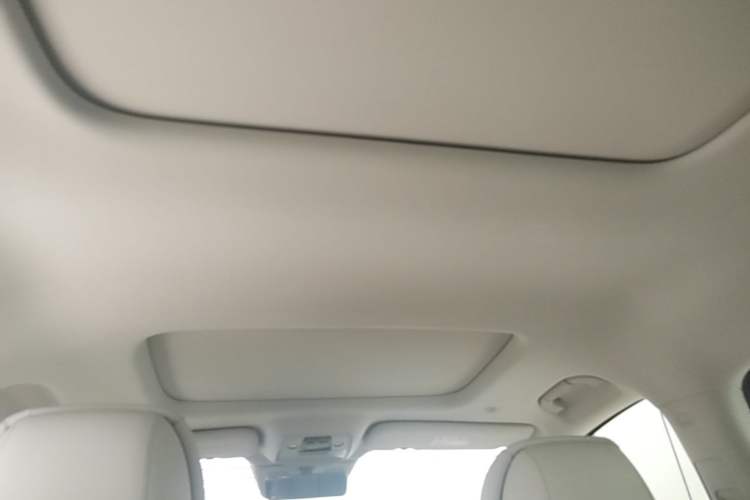Used Denza D9 2025 DM-i Intelligent Drive 1020 Four-Wheel Drive Prestige Model Headliner