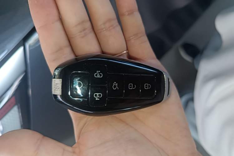 Used Denza D9 2025 EV Intelligent Driving Edition 620 Luxury Model Vehicle Key