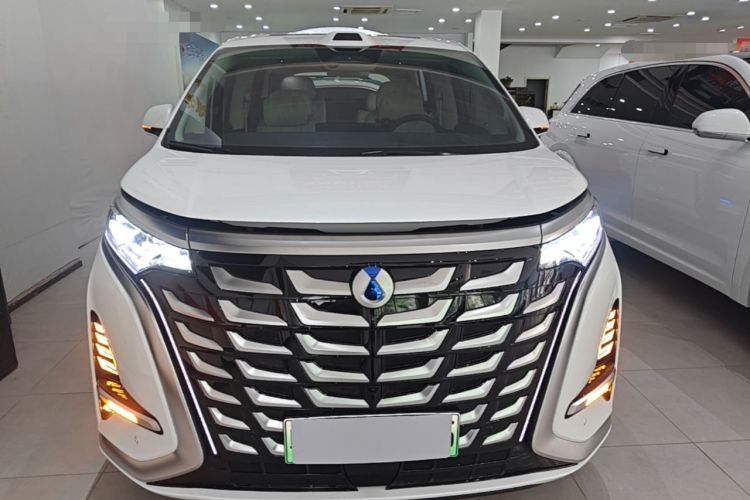 Used Denza D9 2025 DM-i Intelligent Drive 1020 Four-Wheel Drive Prestige Model Front