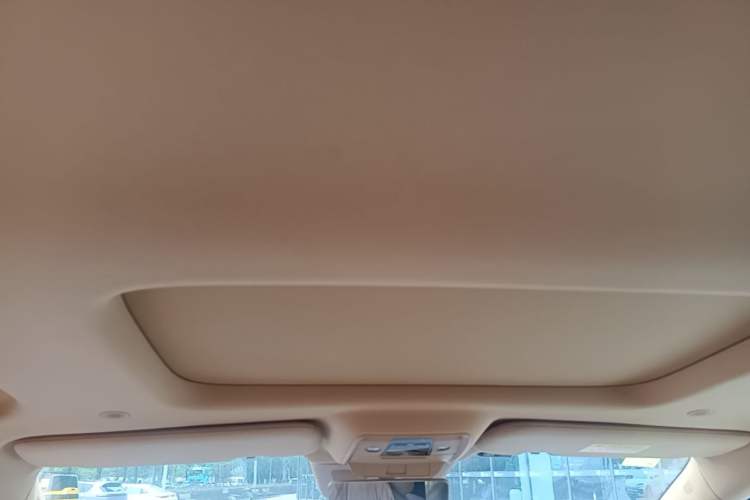 Used Denza D9 2025 DM-i Intelligent Drive 1020 Four-Wheel Drive Flagship Model Headliner