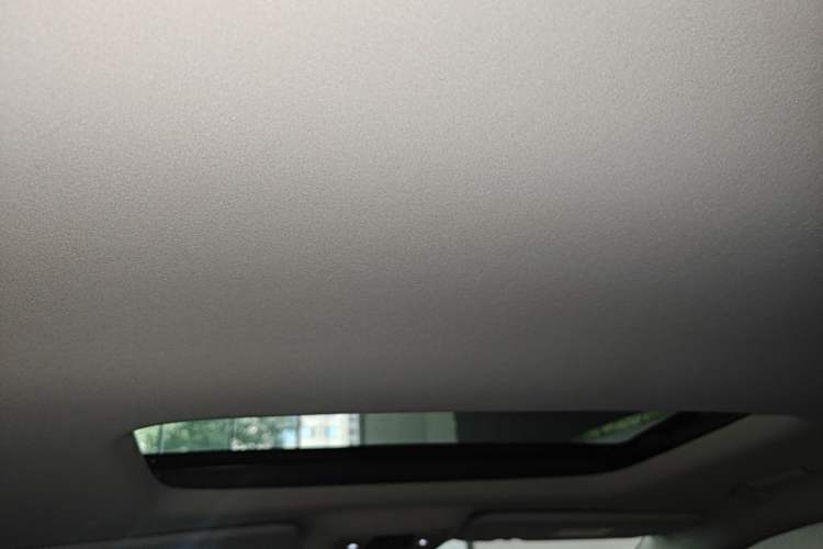 Used Denza D9 2025 DM-i Intelligent Drive 1020 Four-Wheel Drive Prestige Model Headliner
