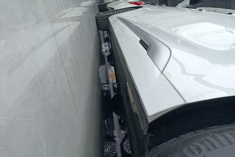 Used Denza D9 2025 DM-i Smart Drive 1020 Four-Wheel Drive Deluxe Model Left Side Sill