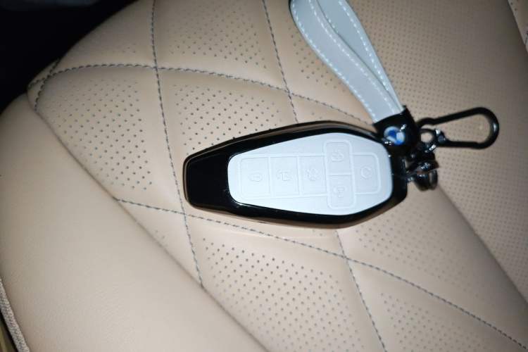 Used Denza D9 2025 DM-i Smart Drive 1020 Four-Wheel Drive Deluxe Model Vehicle Key