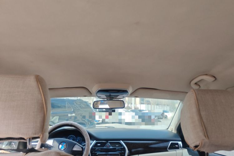 Used Denza 2014 Stylish Edition Headliner