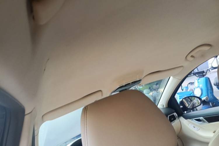 Used Denza 2014 Stylish Edition Headliner