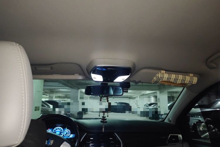 Used Denza 2014 Stylish Edition Headliner