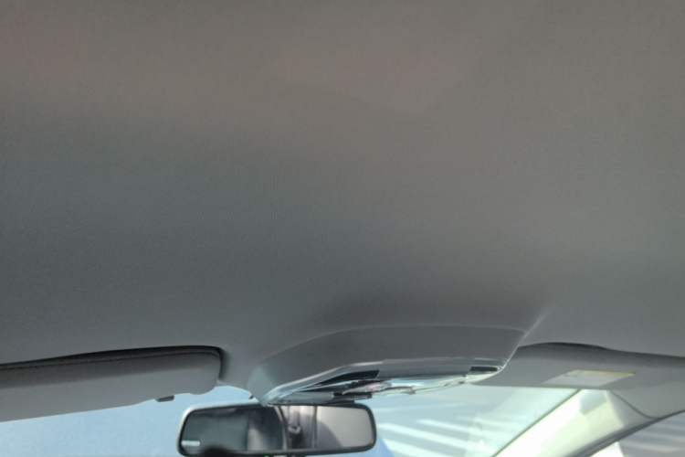 Used Denza 2014 Deluxe Edition Headliner